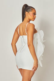 Isabella/Madeline 3D Flower Mini Dress
