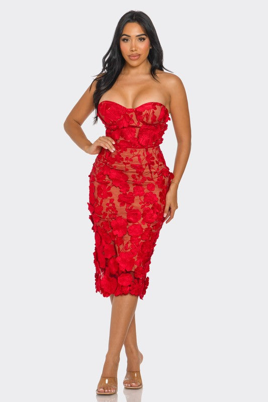 Scarlet Romance Appliqué Dress