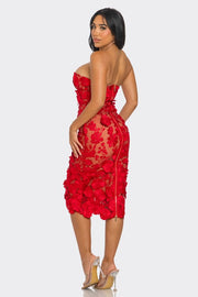 Scarlet Romance Appliqué Dress