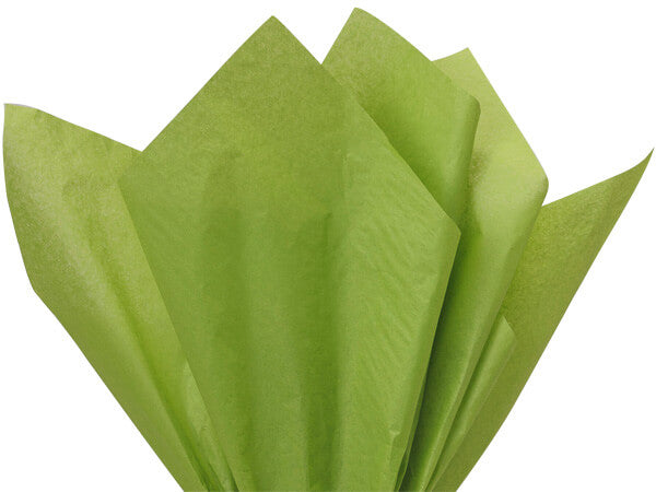 Oasis Green Tissue Paper 24 Pack