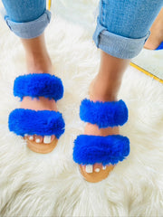 Summersdale - Blue